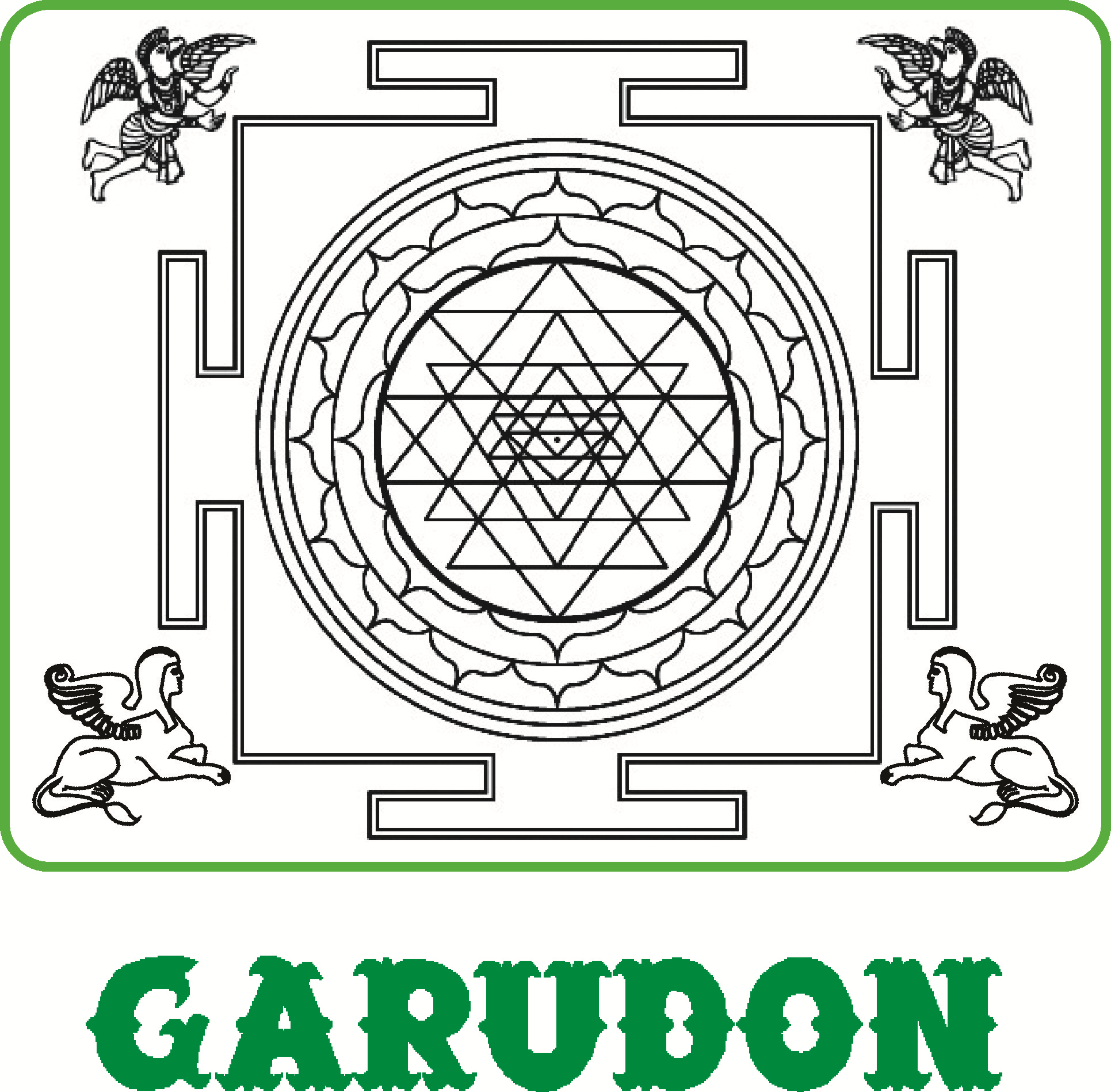 GARUDON MEDICAL SYSTEM